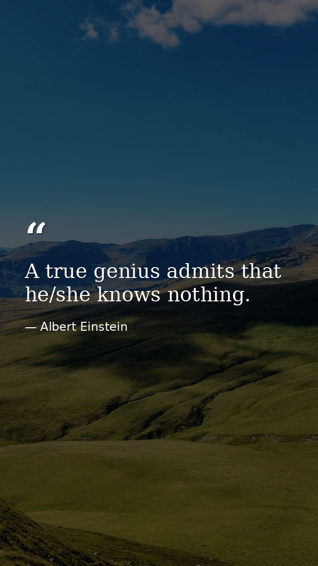 A true genius admits that he/she knows nothing. — Albert Einstein