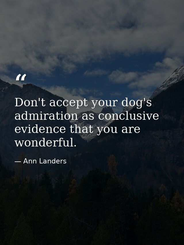 Don't accept your dog's admiration as conclusive evidence that you are wonderful. — Ann Landers