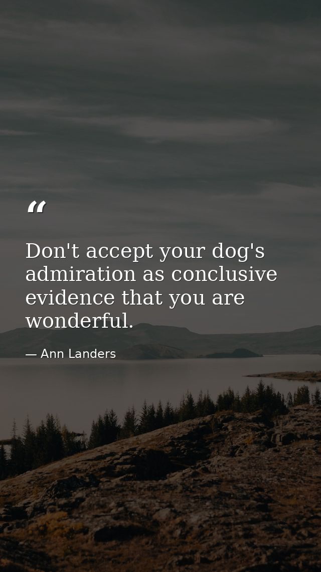 Don't accept your dog's admiration as conclusive evidence that you are wonderful. — Ann Landers