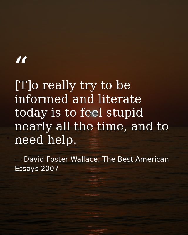 [T]o really try to be informed and literate today is to feel stupid nearly all the time, and to need help. — David Foster Wallace, The Best American Essays 2007