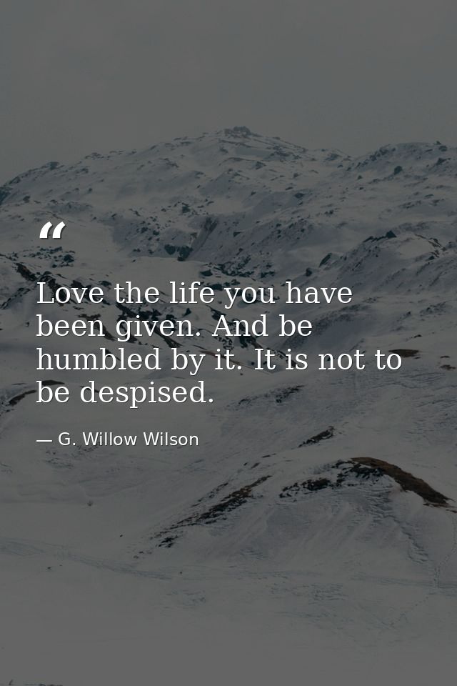 Love the life you have been given. And be humbled by it. It is not to be despised. — G. Willow Wilson