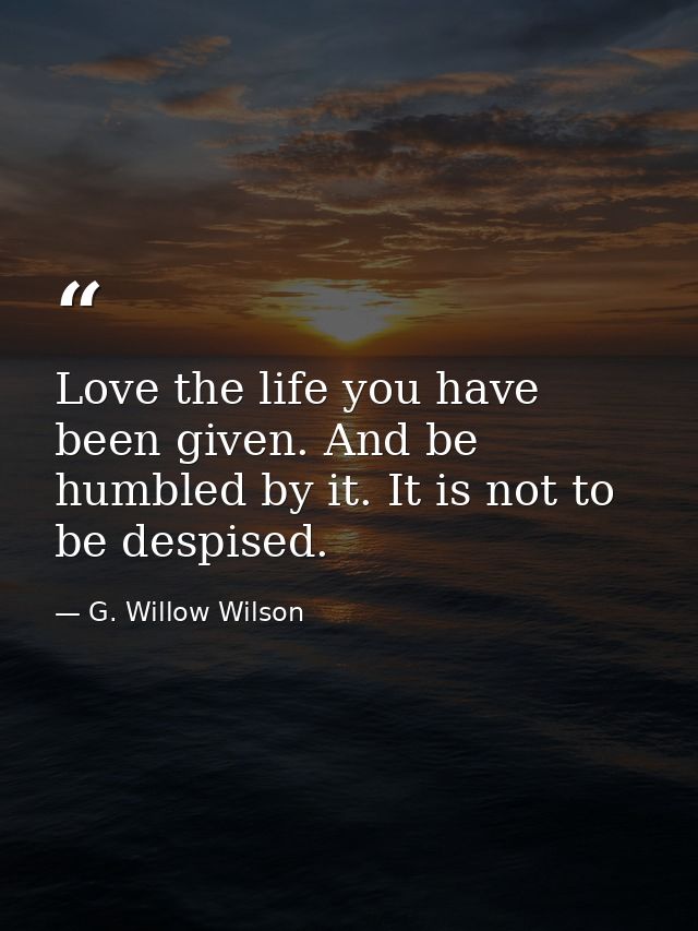 Love the life you have been given. And be humbled by it. It is not to be despised. — G. Willow Wilson
