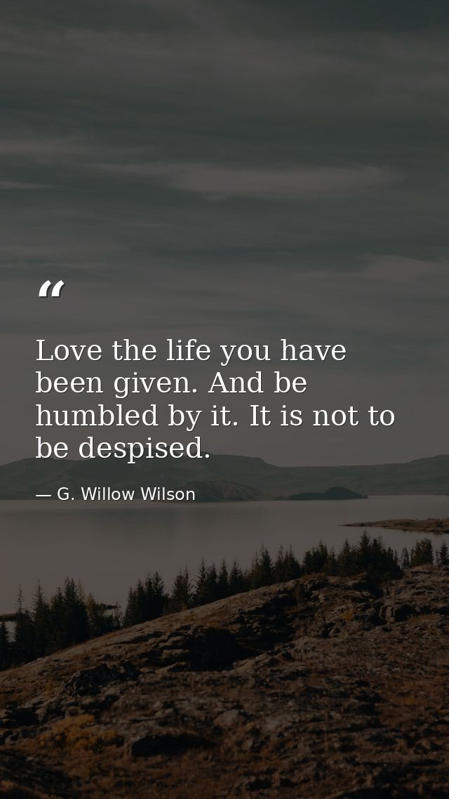 Love the life you have been given. And be humbled by it. It is not to be despised. — G. Willow Wilson