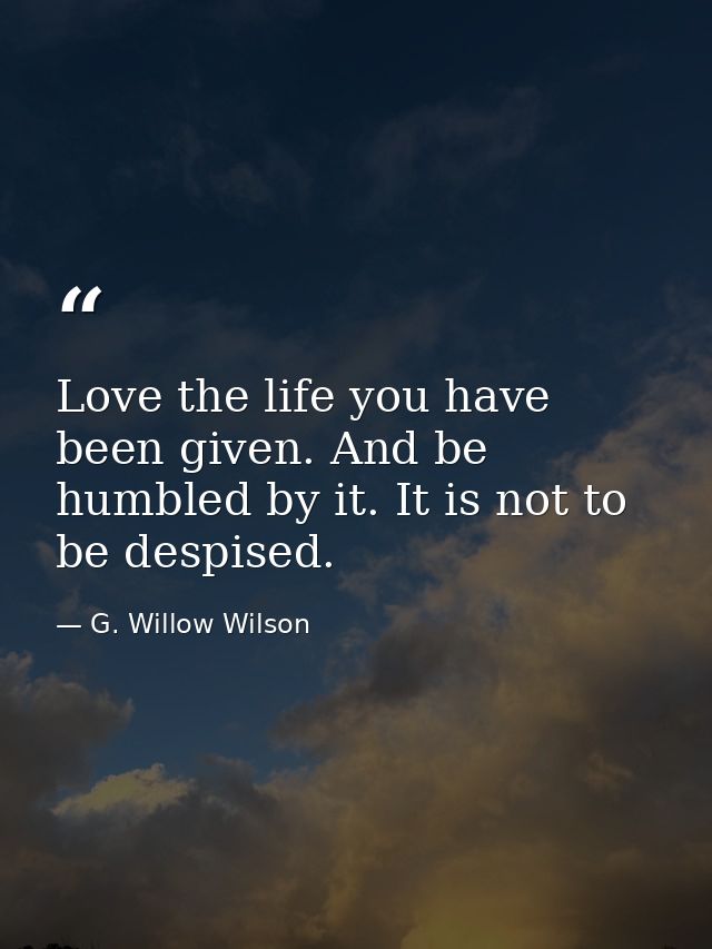 Love the life you have been given. And be humbled by it. It is not to be despised. — G. Willow Wilson