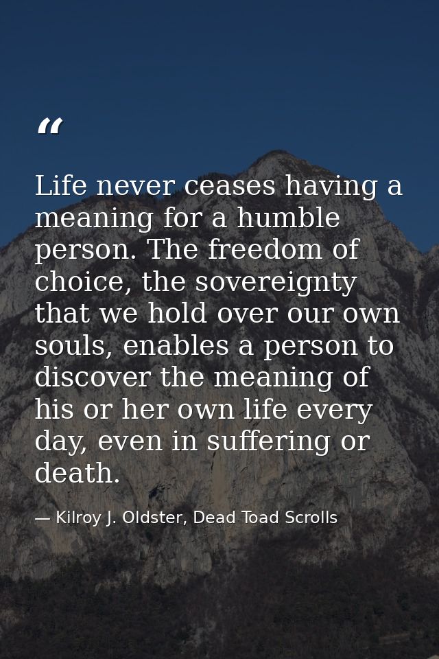Life never ceases having a meaning for a humble person. The freedom of choice, the sovereignty that we hold over our own — Kilroy J. Oldster, Dead Toad Scrolls