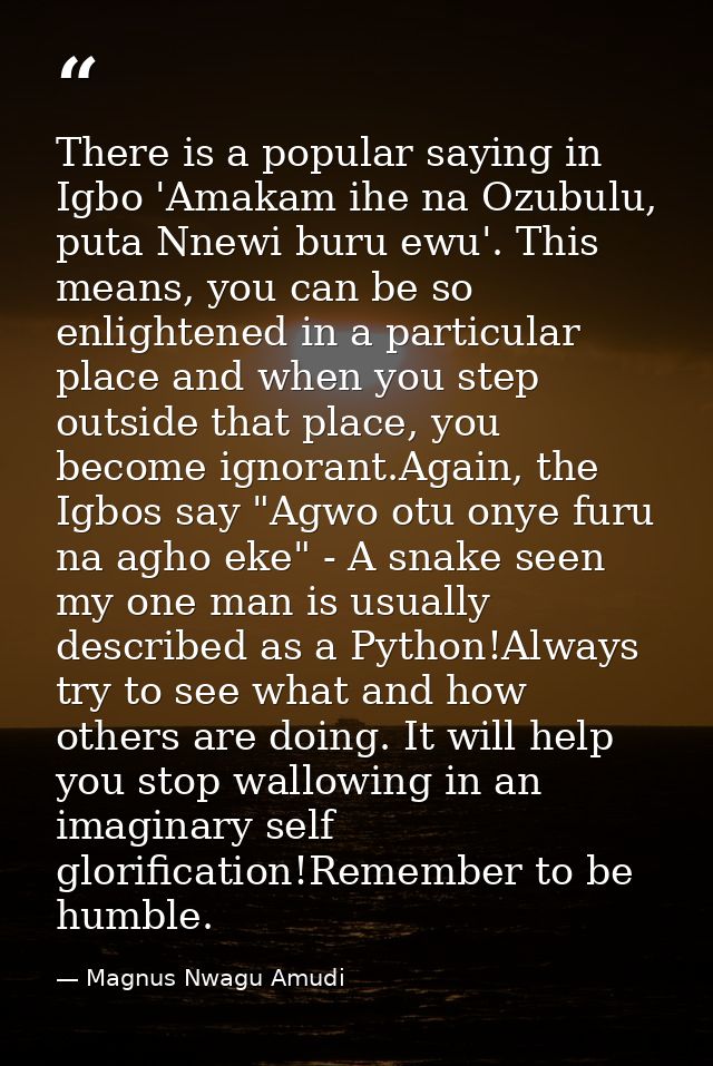 There is a popular saying in Igbo 'Amakam ihe na Ozubulu, puta Nnewi buru ewu'. This means, you can be so enlightened in — Magnus Nwagu Amudi