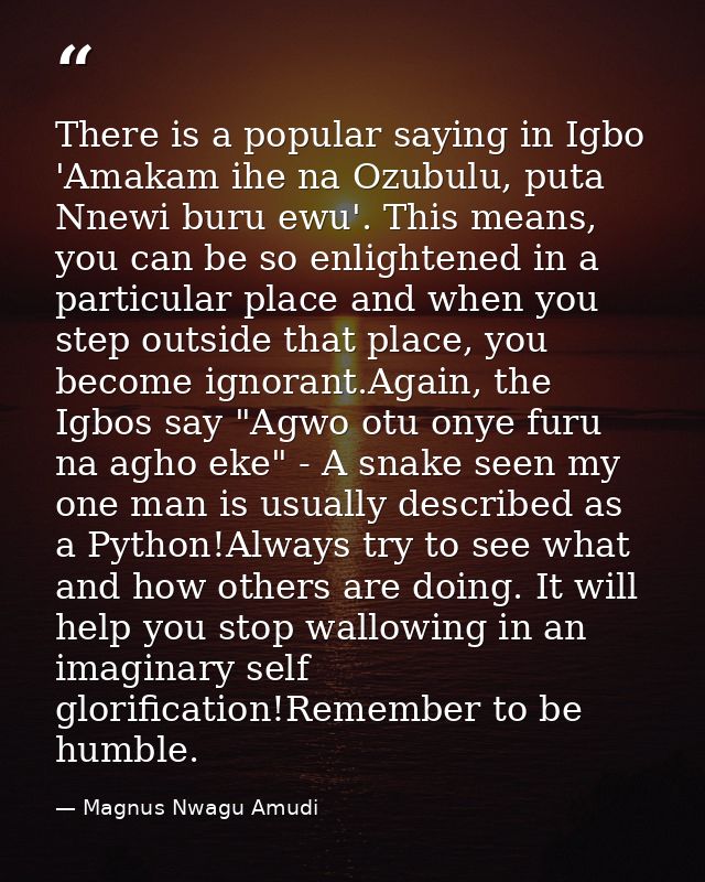There is a popular saying in Igbo 'Amakam ihe na Ozubulu, puta Nnewi buru ewu'. This means, you can be so enlightened in — Magnus Nwagu Amudi