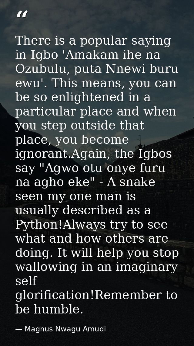 There is a popular saying in Igbo 'Amakam ihe na Ozubulu, puta Nnewi buru ewu'. This means, you can be so enlightened in — Magnus Nwagu Amudi
