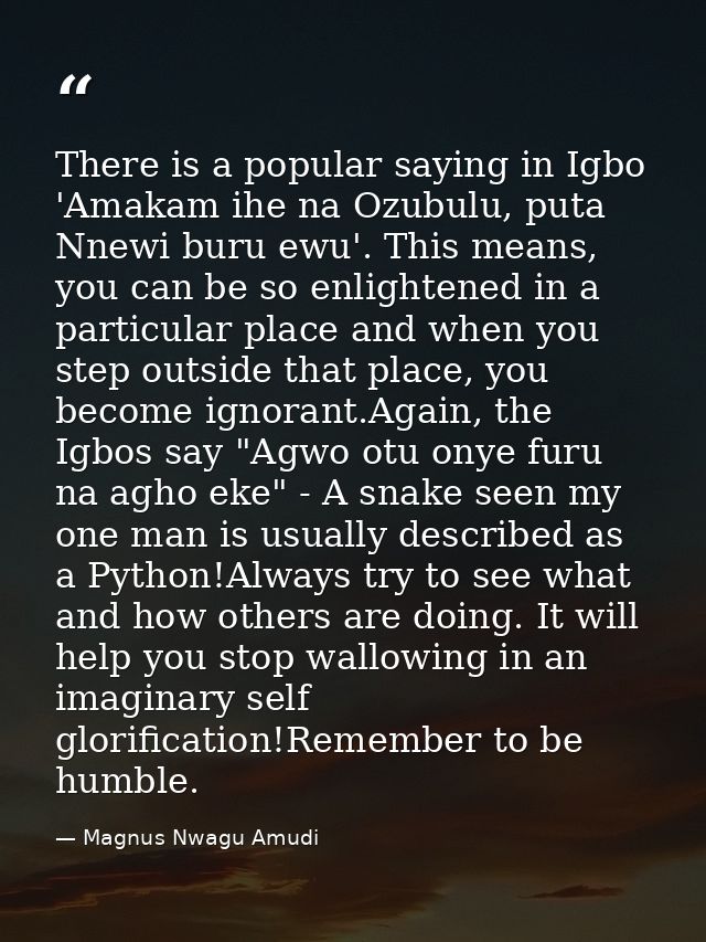 There is a popular saying in Igbo 'Amakam ihe na Ozubulu, puta Nnewi buru ewu'. This means, you can be so enlightened in — Magnus Nwagu Amudi