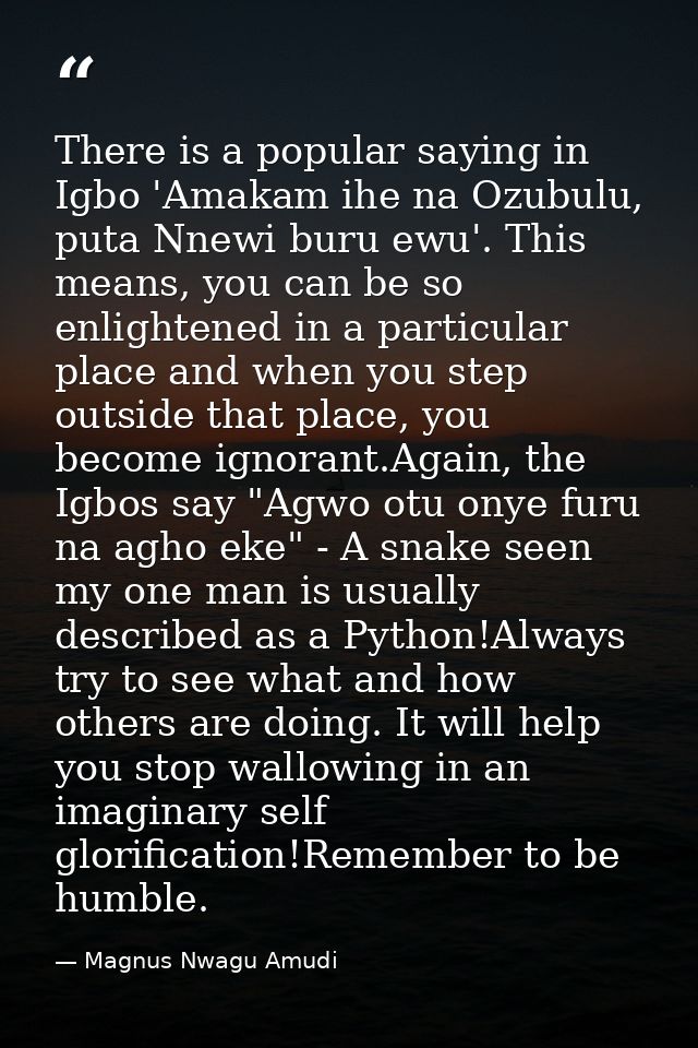 There is a popular saying in Igbo 'Amakam ihe na Ozubulu, puta Nnewi buru ewu'. This means, you can be so enlightened in — Magnus Nwagu Amudi