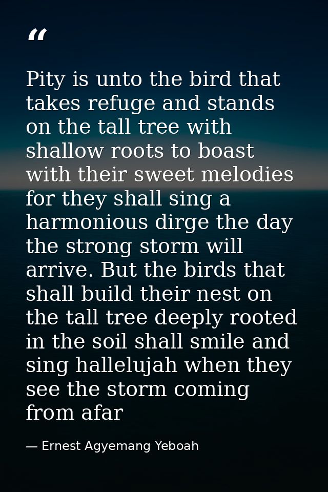 Pity is unto the bird that takes refuge and stands on the tall tree with shallow roots to boast with their sweet melodie — Ernest Agyemang Yeboah