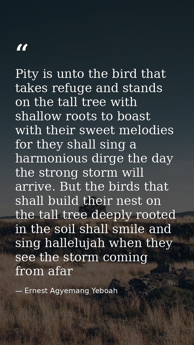 Pity is unto the bird that takes refuge and stands on the tall tree with shallow roots to boast with their sweet melodie — Ernest Agyemang Yeboah