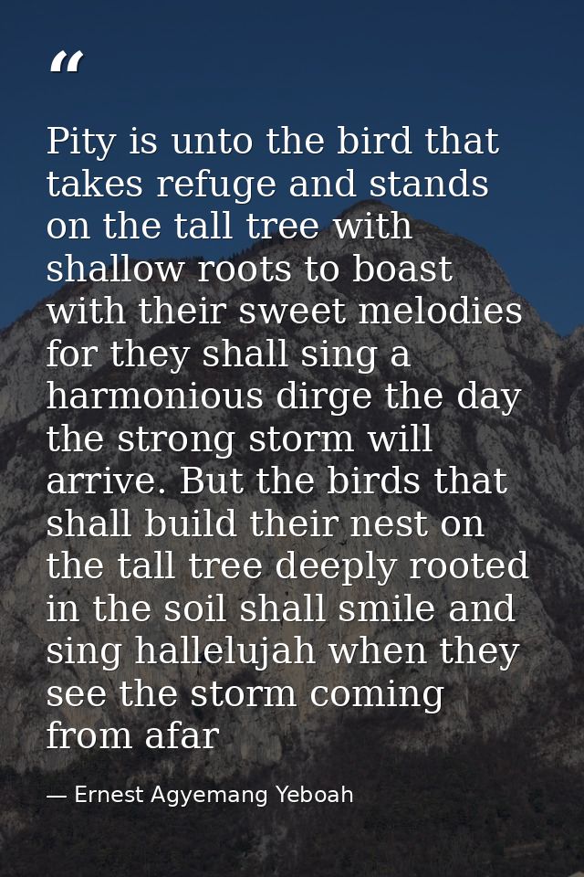 Pity is unto the bird that takes refuge and stands on the tall tree with shallow roots to boast with their sweet melodie — Ernest Agyemang Yeboah