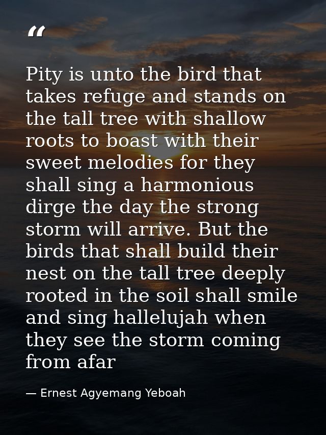 Pity is unto the bird that takes refuge and stands on the tall tree with shallow roots to boast with their sweet melodie — Ernest Agyemang Yeboah