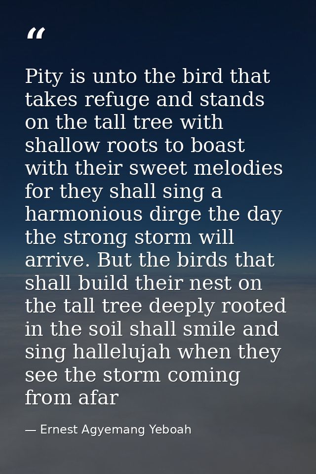 Pity is unto the bird that takes refuge and stands on the tall tree with shallow roots to boast with their sweet melodie — Ernest Agyemang Yeboah