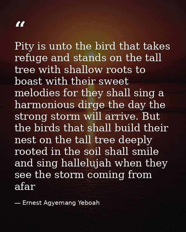 Pity is unto the bird that takes refuge and stands on the tall tree with shallow roots to boast with their sweet melodie — Ernest Agyemang Yeboah