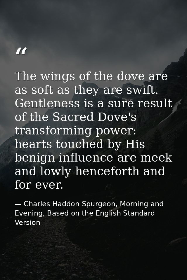 The wings of the dove are as soft as they are swift. Gentleness is a sure result of the Sacred Dove's transforming power — Charles Haddon Spurgeon, Morning and Evening, Based on the English Standard Version