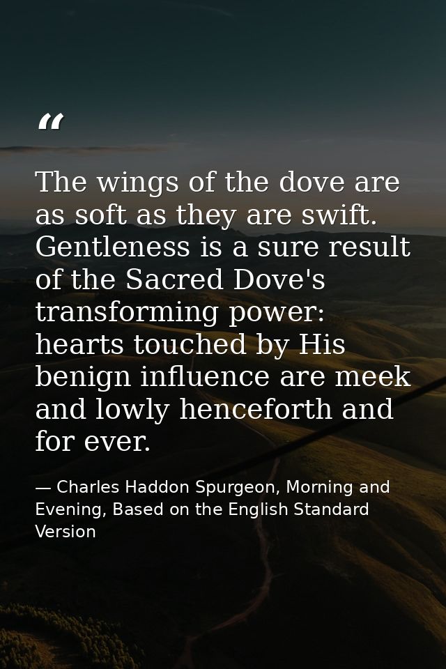 The wings of the dove are as soft as they are swift. Gentleness is a sure result of the Sacred Dove's transforming power — Charles Haddon Spurgeon, Morning and Evening, Based on the English Standard Version