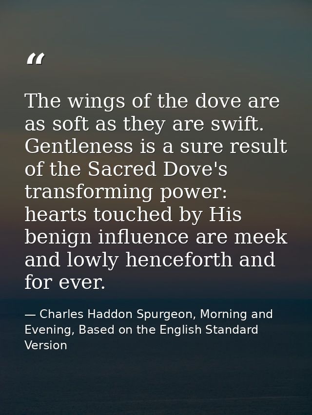 The wings of the dove are as soft as they are swift. Gentleness is a sure result of the Sacred Dove's transforming power — Charles Haddon Spurgeon, Morning and Evening, Based on the English Standard Version