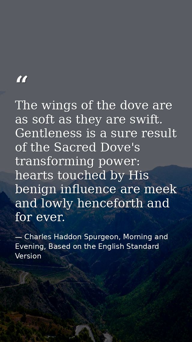 The wings of the dove are as soft as they are swift. Gentleness is a sure result of the Sacred Dove's transforming power — Charles Haddon Spurgeon, Morning and Evening, Based on the English Standard Version