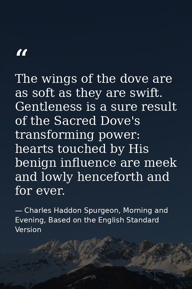 The wings of the dove are as soft as they are swift. Gentleness is a sure result of the Sacred Dove's transforming power — Charles Haddon Spurgeon, Morning and Evening, Based on the English Standard Version