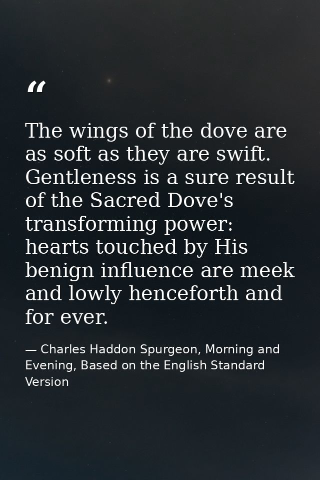 The wings of the dove are as soft as they are swift. Gentleness is a sure result of the Sacred Dove's transforming power — Charles Haddon Spurgeon, Morning and Evening, Based on the English Standard Version