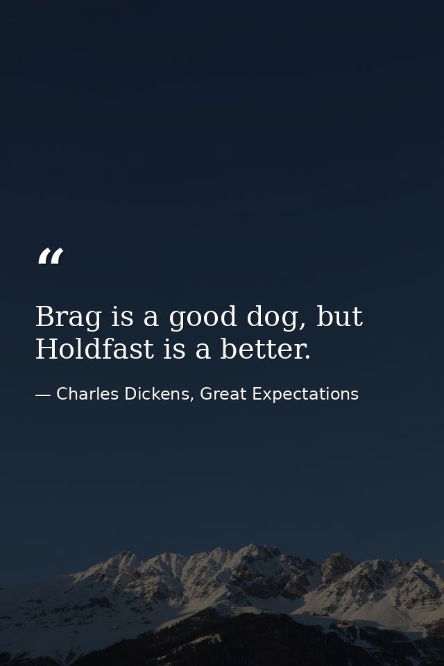 Brag is a good dog, but Holdfast is a better. — Charles Dickens, Great Expectations
