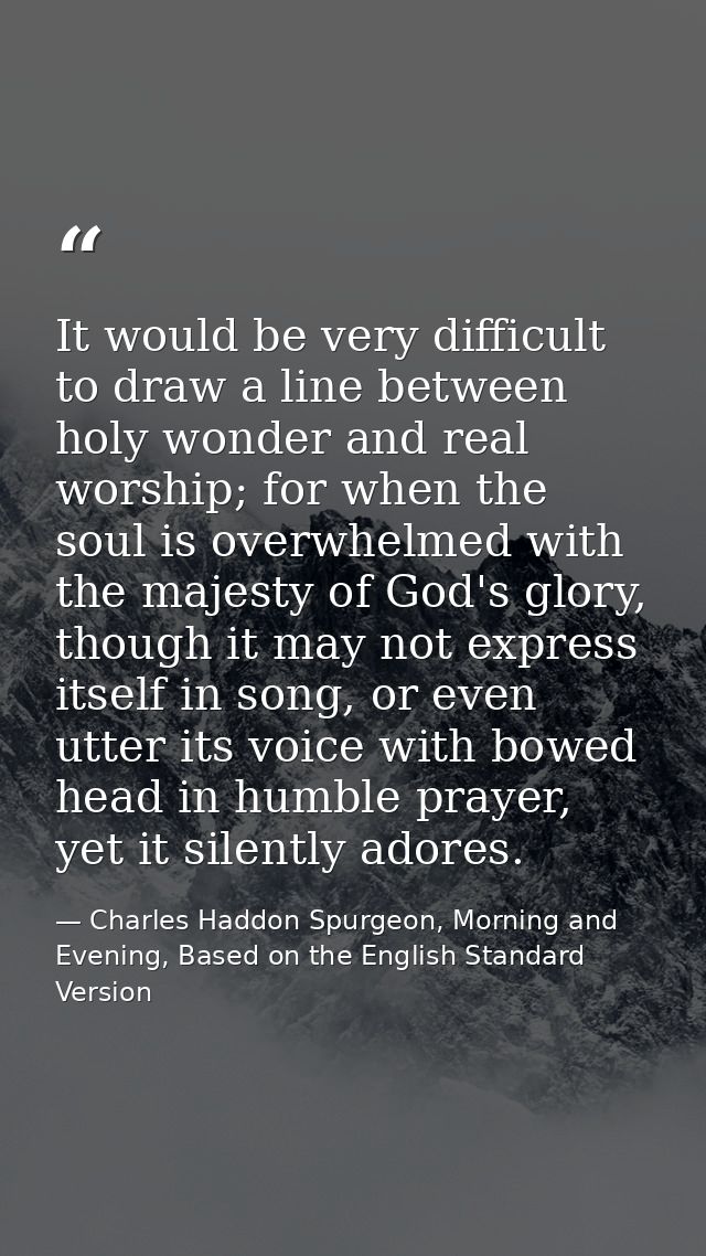 It would be very difficult to draw a line between holy wonder and real worship; for when the soul is overwhelmed with th — Charles Haddon Spurgeon, Morning and Evening, Based on the English Standard Version