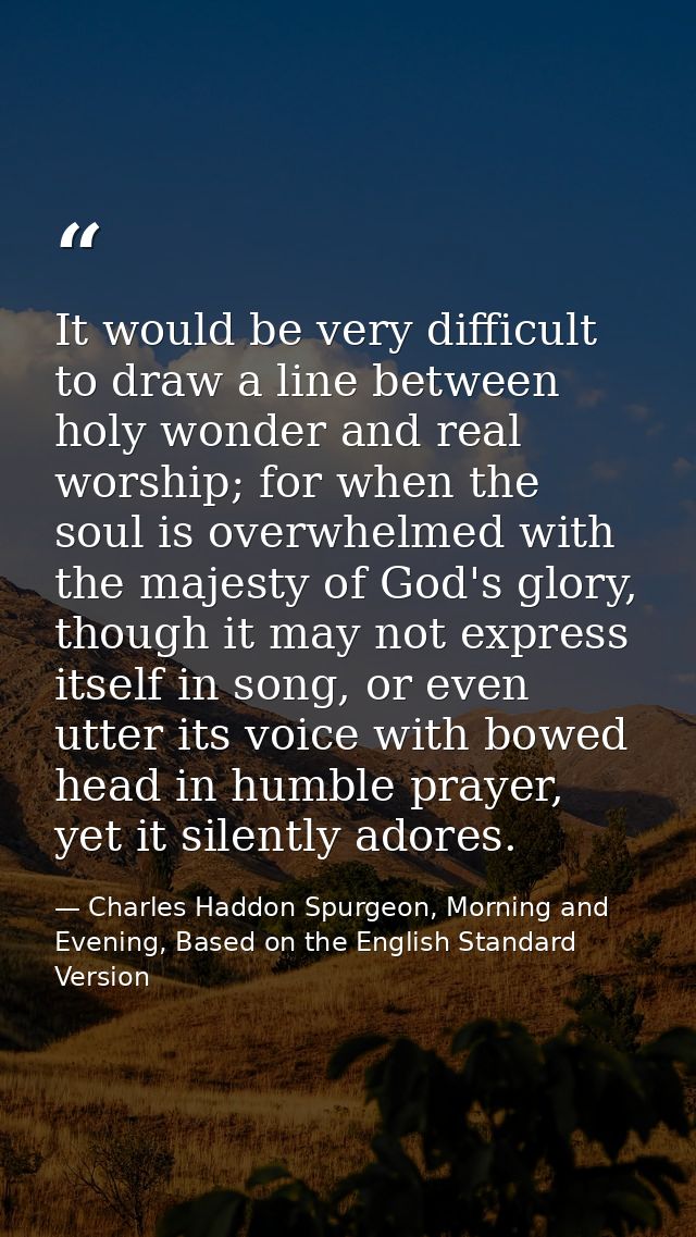 It would be very difficult to draw a line between holy wonder and real worship; for when the soul is overwhelmed with th — Charles Haddon Spurgeon, Morning and Evening, Based on the English Standard Version
