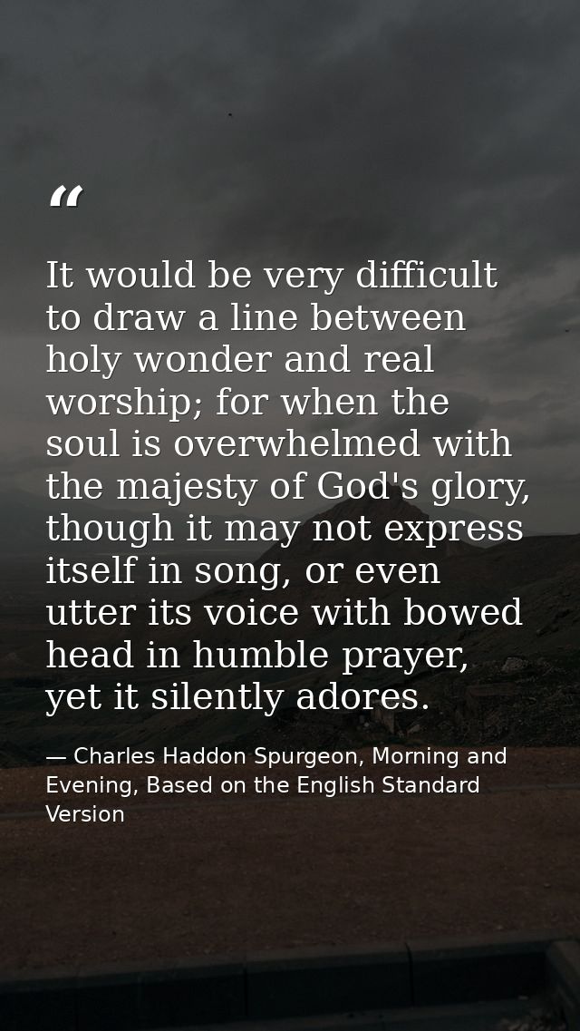 It would be very difficult to draw a line between holy wonder and real worship; for when the soul is overwhelmed with th — Charles Haddon Spurgeon, Morning and Evening, Based on the English Standard Version