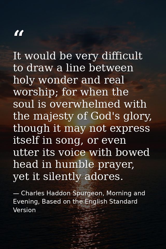 It would be very difficult to draw a line between holy wonder and real worship; for when the soul is overwhelmed with th — Charles Haddon Spurgeon, Morning and Evening, Based on the English Standard Version