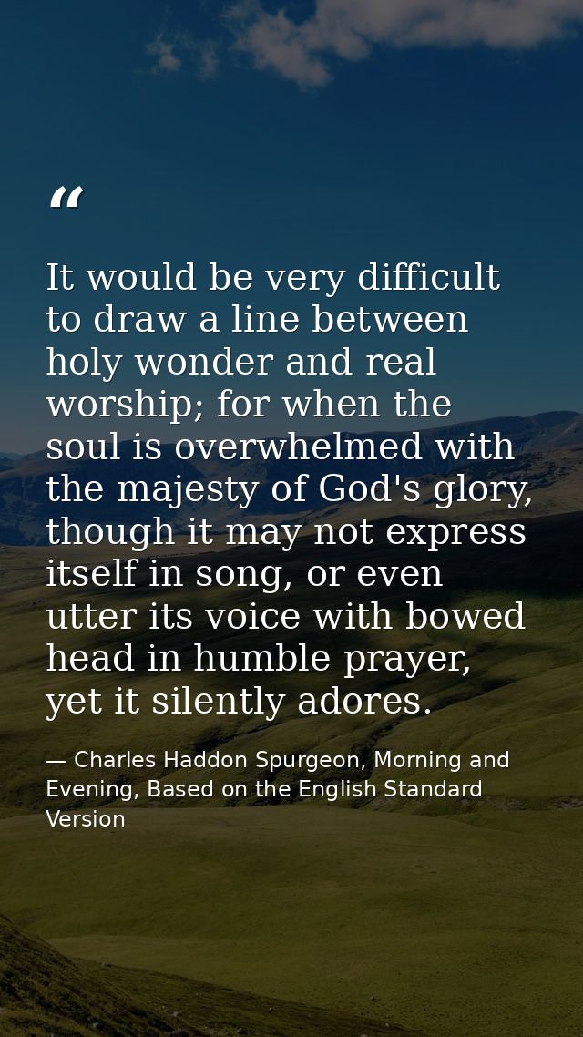 It would be very difficult to draw a line between holy wonder and real worship; for when the soul is overwhelmed with th — Charles Haddon Spurgeon, Morning and Evening, Based on the English Standard Version
