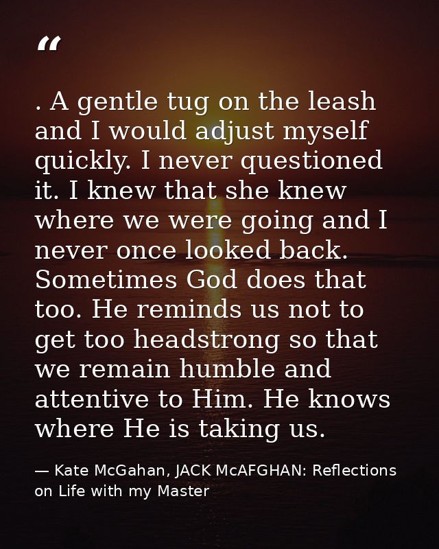 . A gentle tug on the leash and I would adjust myself quickly. I never questioned it. I knew that she knew where we were — Kate McGahan, JACK McAFGHAN: Reflections on Life with my Master