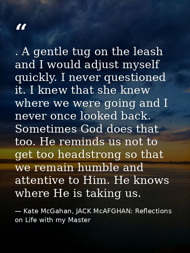 . A gentle tug on the leash and I would adjust myself quickly. I never questioned it. I knew that she knew where we were — Kate McGahan, JACK McAFGHAN: Reflections on Life with my Master