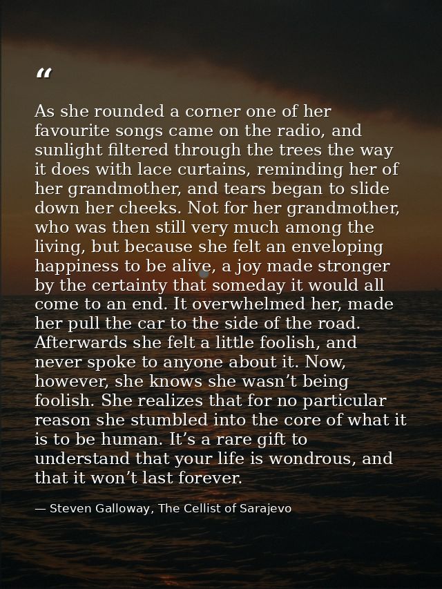 As she rounded a corner one of her favourite songs came on the radio, and sunlight filtered through the trees the way it — Steven Galloway, The Cellist of Sarajevo