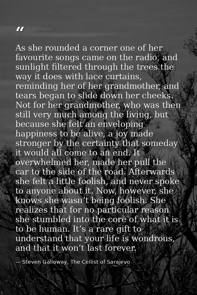 As she rounded a corner one of her favourite songs came on the radio, and sunlight filtered through the trees the way it — Steven Galloway, The Cellist of Sarajevo
