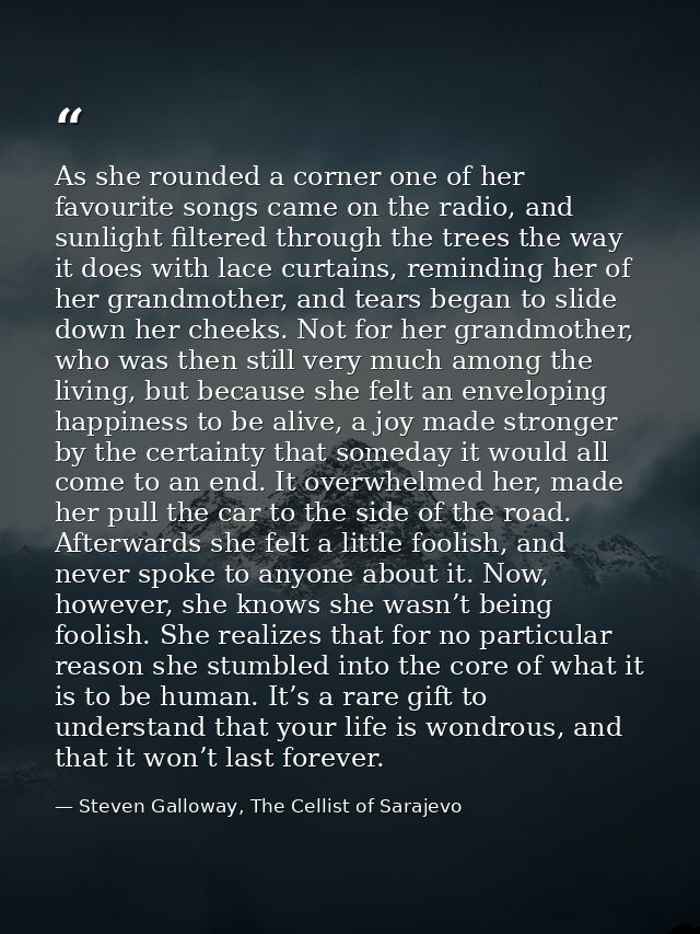 As she rounded a corner one of her favourite songs came on the radio, and sunlight filtered through the trees the way it — Steven Galloway, The Cellist of Sarajevo