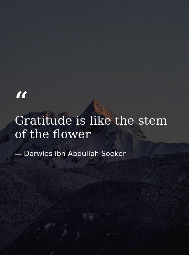 Gratitude is like the stem of the flower — Darwies ibn Abdullah Soeker