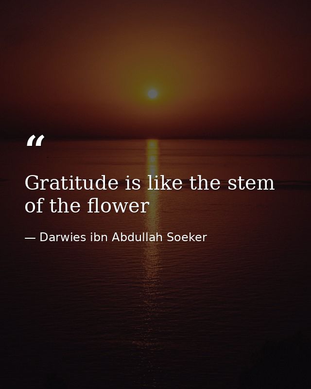 Gratitude is like the stem of the flower — Darwies ibn Abdullah Soeker