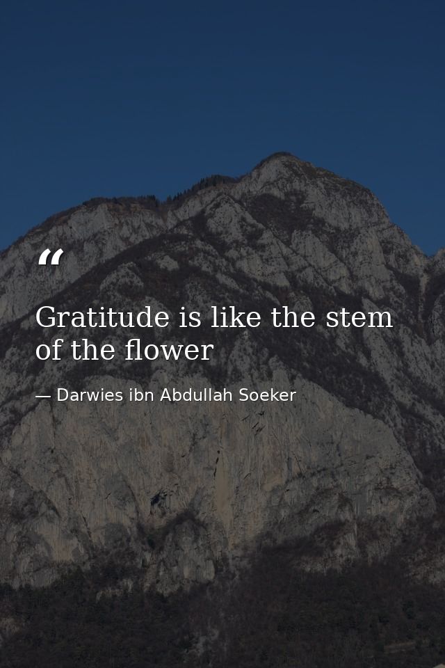 Gratitude is like the stem of the flower — Darwies ibn Abdullah Soeker