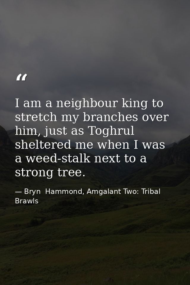 I am a neighbour king to stretch my branches over him, just as Toghrul sheltered me when I was a weed-stalk next to a st — Bryn  Hammond, Amgalant Two: Tribal Brawls