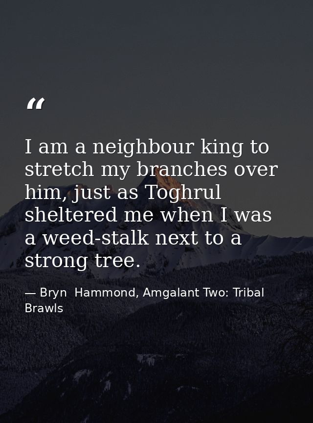 I am a neighbour king to stretch my branches over him, just as Toghrul sheltered me when I was a weed-stalk next to a st — Bryn  Hammond, Amgalant Two: Tribal Brawls