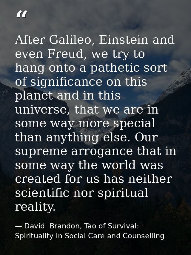 After Galileo, Einstein and even Freud, we try to hang onto a pathetic sort of significance on this planet and in this u — David  Brandon, Tao of Survival: Spirituality in Social Care and Counselling