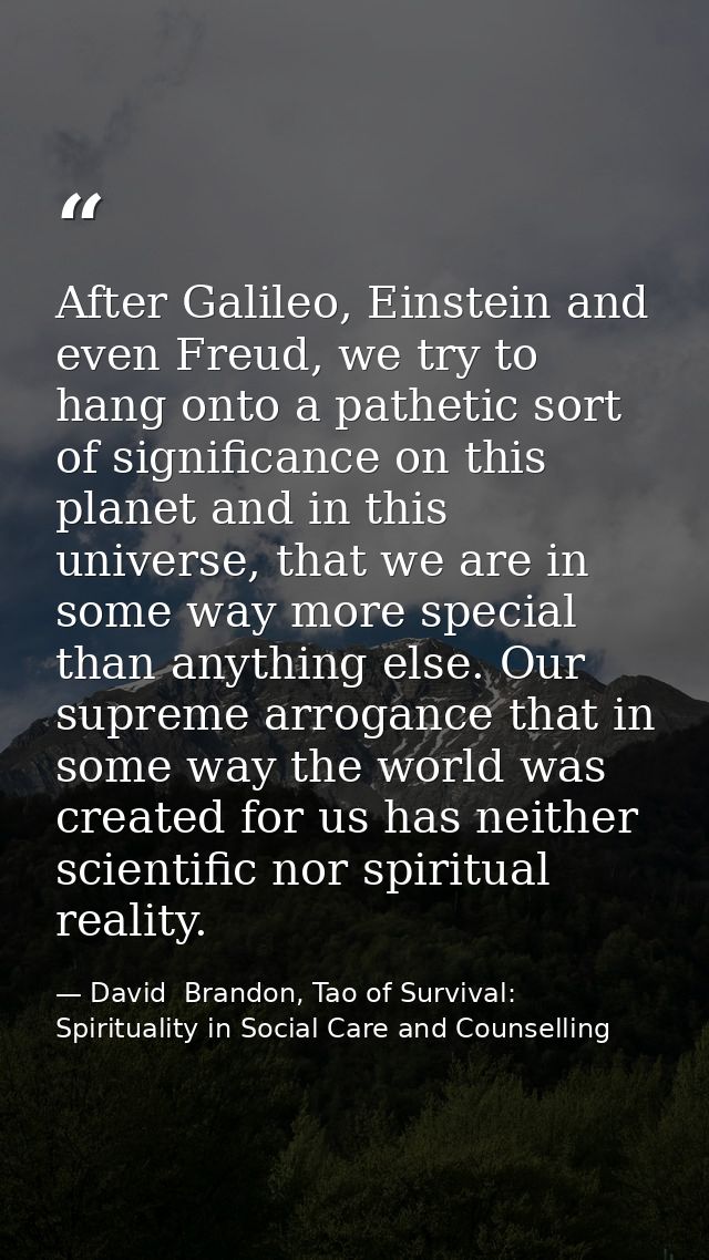 After Galileo, Einstein and even Freud, we try to hang onto a pathetic sort of significance on this planet and in this u — David  Brandon, Tao of Survival: Spirituality in Social Care and Counselling
