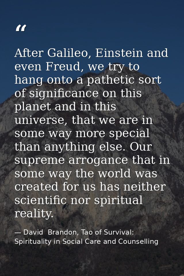 After Galileo, Einstein and even Freud, we try to hang onto a pathetic sort of significance on this planet and in this u — David  Brandon, Tao of Survival: Spirituality in Social Care and Counselling