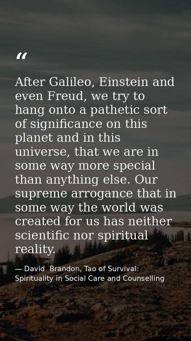 After Galileo, Einstein and even Freud, we try to hang onto a pathetic sort of significance on this planet and in this u — David  Brandon, Tao of Survival: Spirituality in Social Care and Counselling