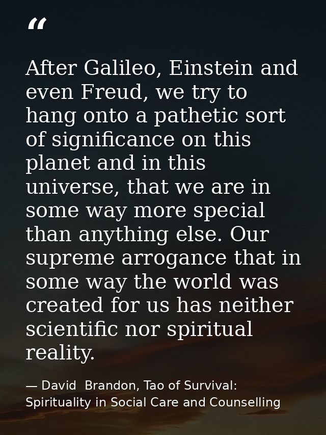 After Galileo, Einstein and even Freud, we try to hang onto a pathetic sort of significance on this planet and in this u — David  Brandon, Tao of Survival: Spirituality in Social Care and Counselling