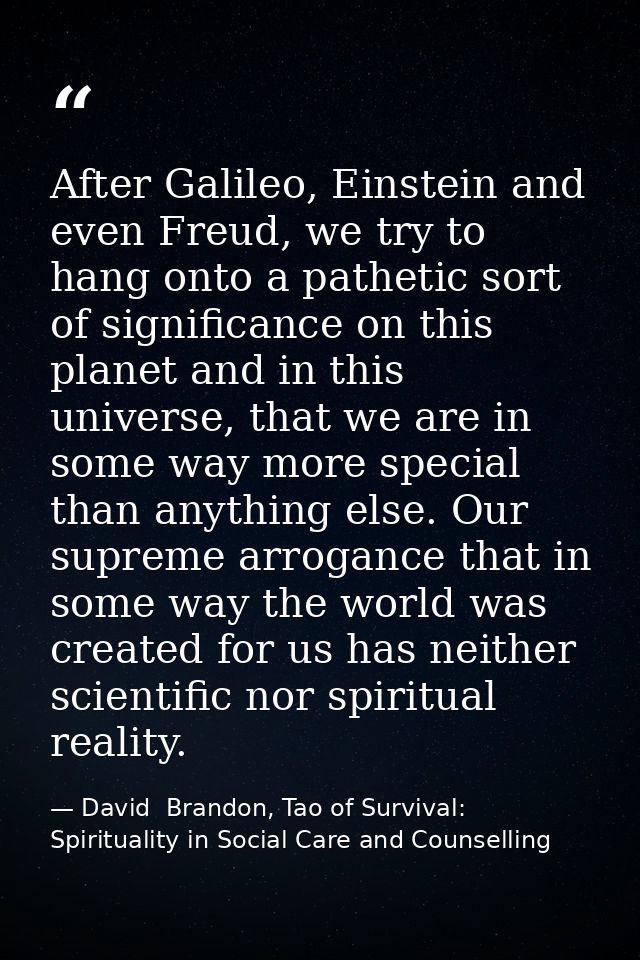 After Galileo, Einstein and even Freud, we try to hang onto a pathetic sort of significance on this planet and in this u — David  Brandon, Tao of Survival: Spirituality in Social Care and Counselling