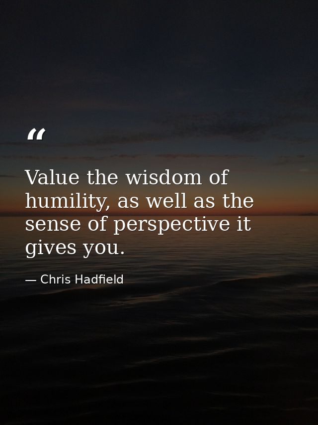 Value the wisdom of humility, as well as the sense of perspective it gives you. — Chris Hadfield