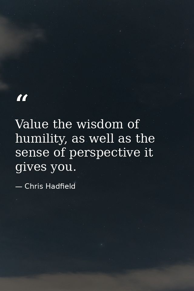 Value the wisdom of humility, as well as the sense of perspective it gives you. — Chris Hadfield